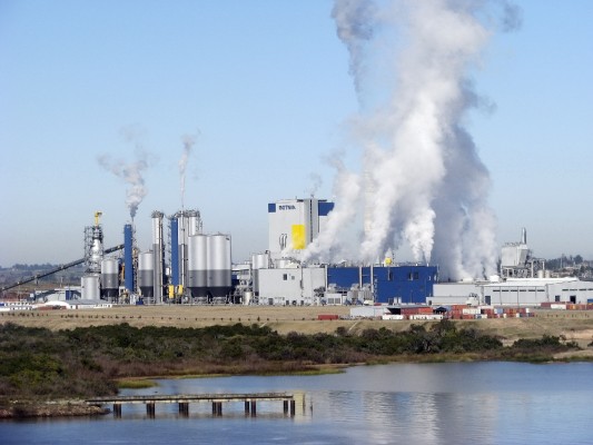 Photo of La empresa finlandesa UPM invertirá más de USD 3.000 millones para construir otra planta de celulosa en Uruguay