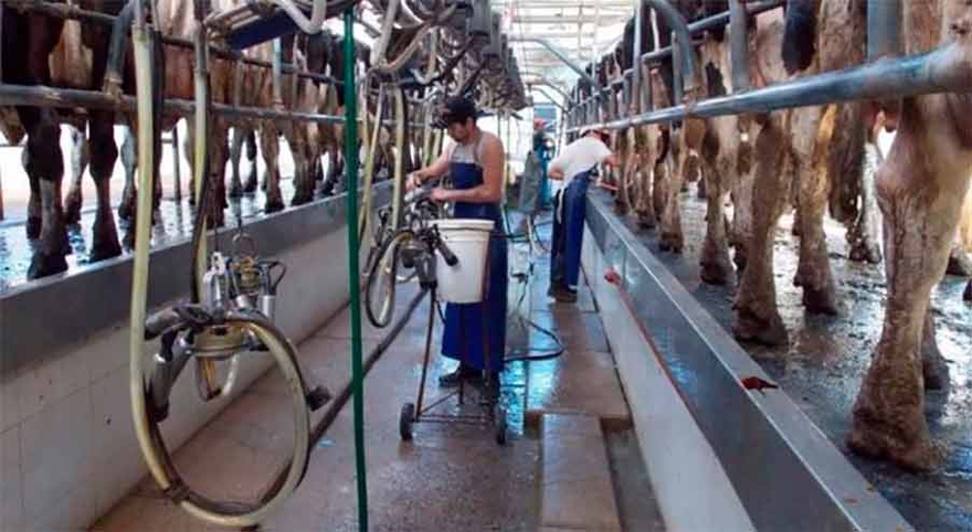 Photo of Crece la crisis en el sector lacteo